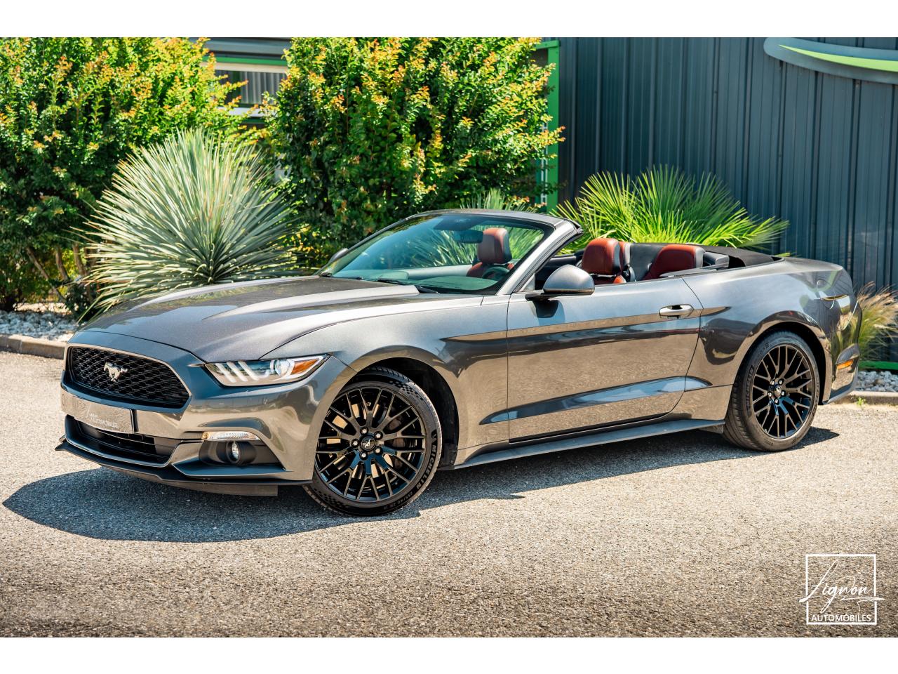 Photo FORD MUSTANG Cabriolet 2.3 EcoBoost - 317 - BVA