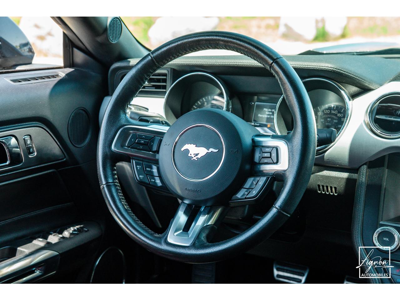 Photo FORD MUSTANG Cabriolet 2.3 EcoBoost - 317 - BVA