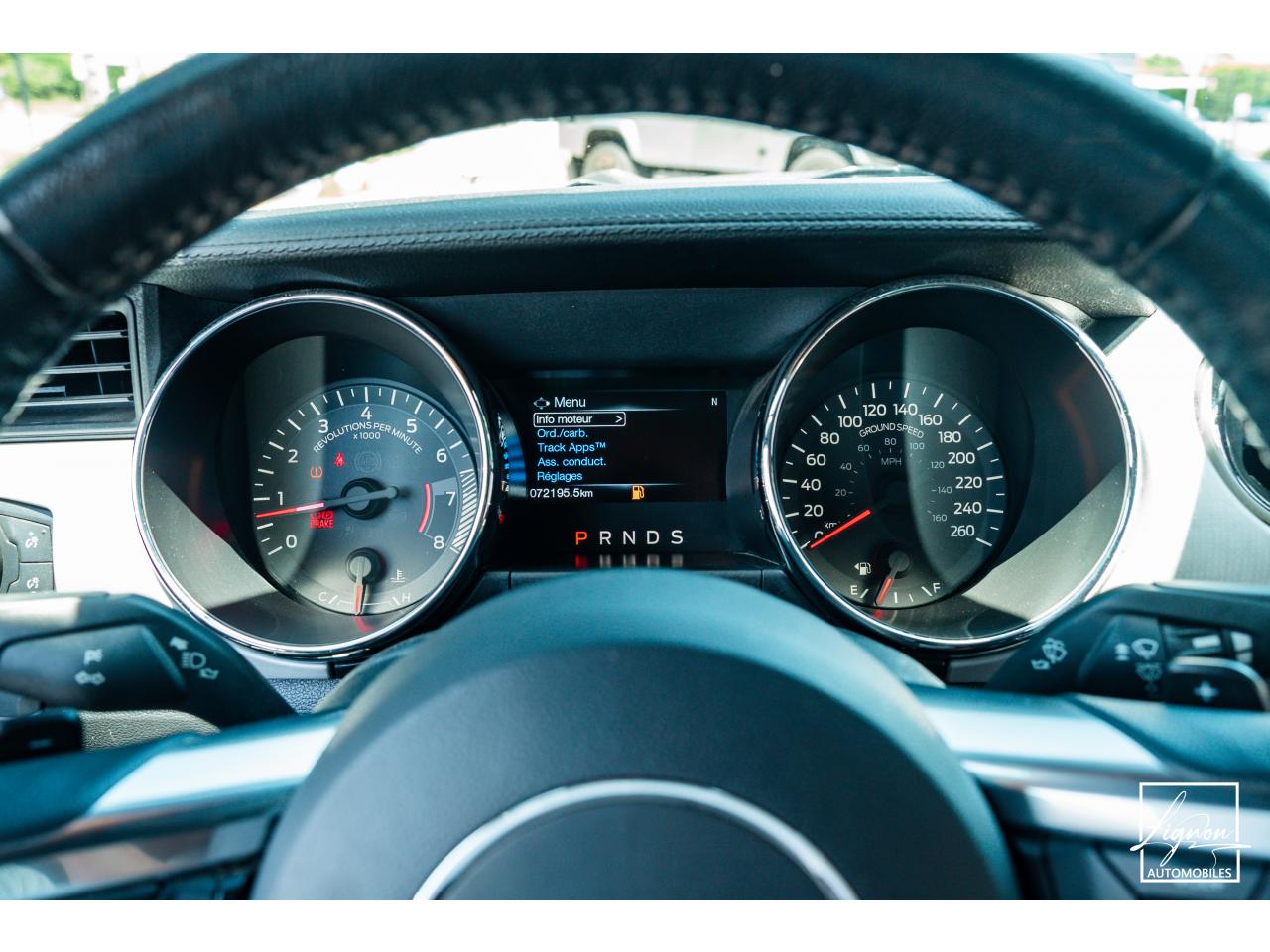 Photo FORD MUSTANG Cabriolet 2.3 EcoBoost - 317 - BVA