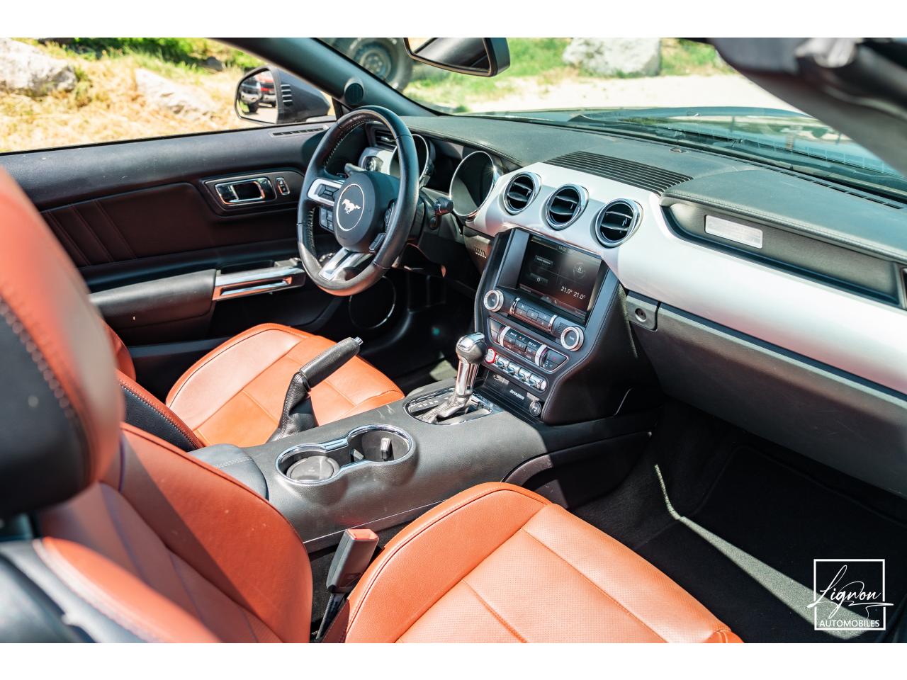 Photo FORD MUSTANG Cabriolet 2.3 EcoBoost - 317 - BVA