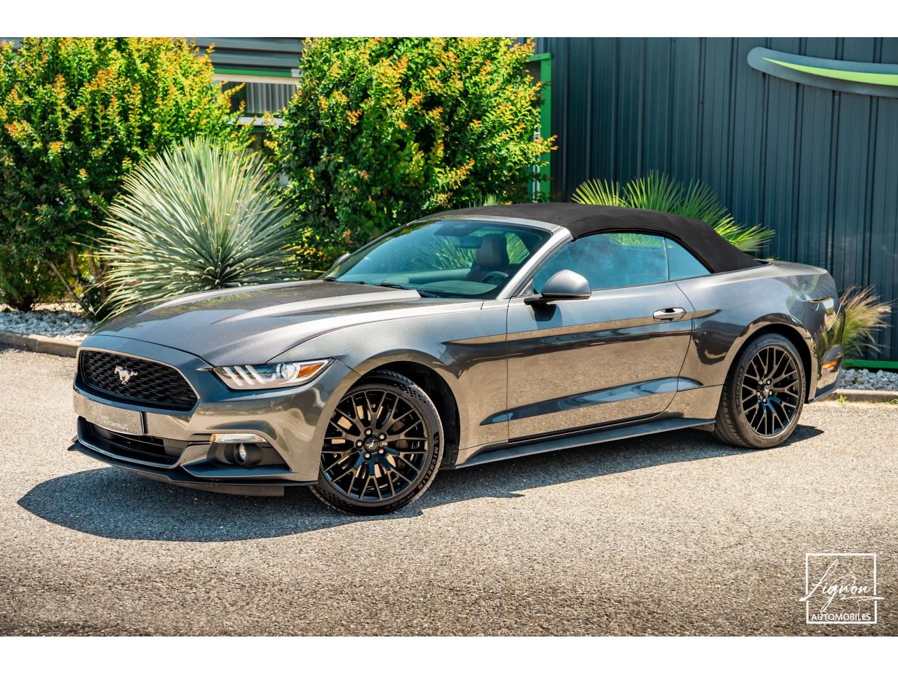Photo FORD MUSTANG Cabriolet 2.3 EcoBoost - 317 - BVA