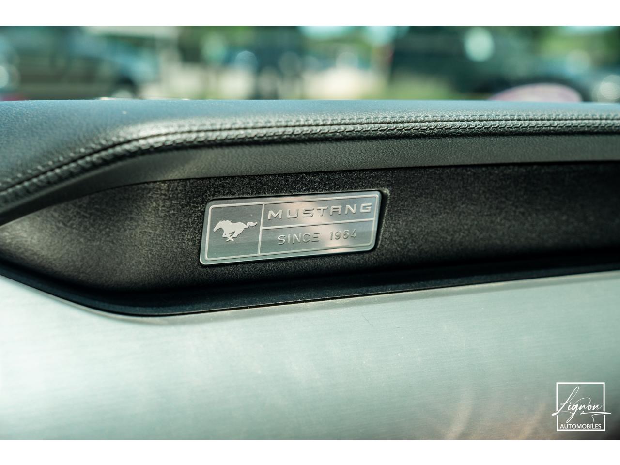 Photo FORD MUSTANG Cabriolet 2.3 EcoBoost - 317 - BVA
