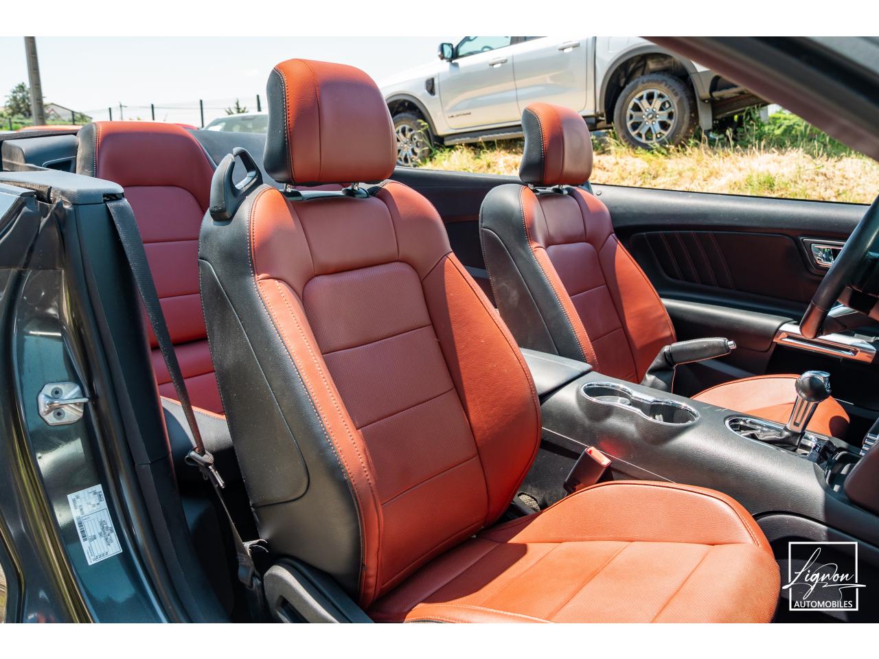 Photo FORD MUSTANG Cabriolet 2.3 EcoBoost - 317 - BVA