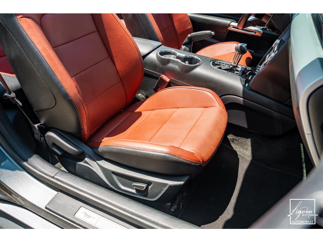 Photo FORD MUSTANG Cabriolet 2.3 EcoBoost - 317 - BVA