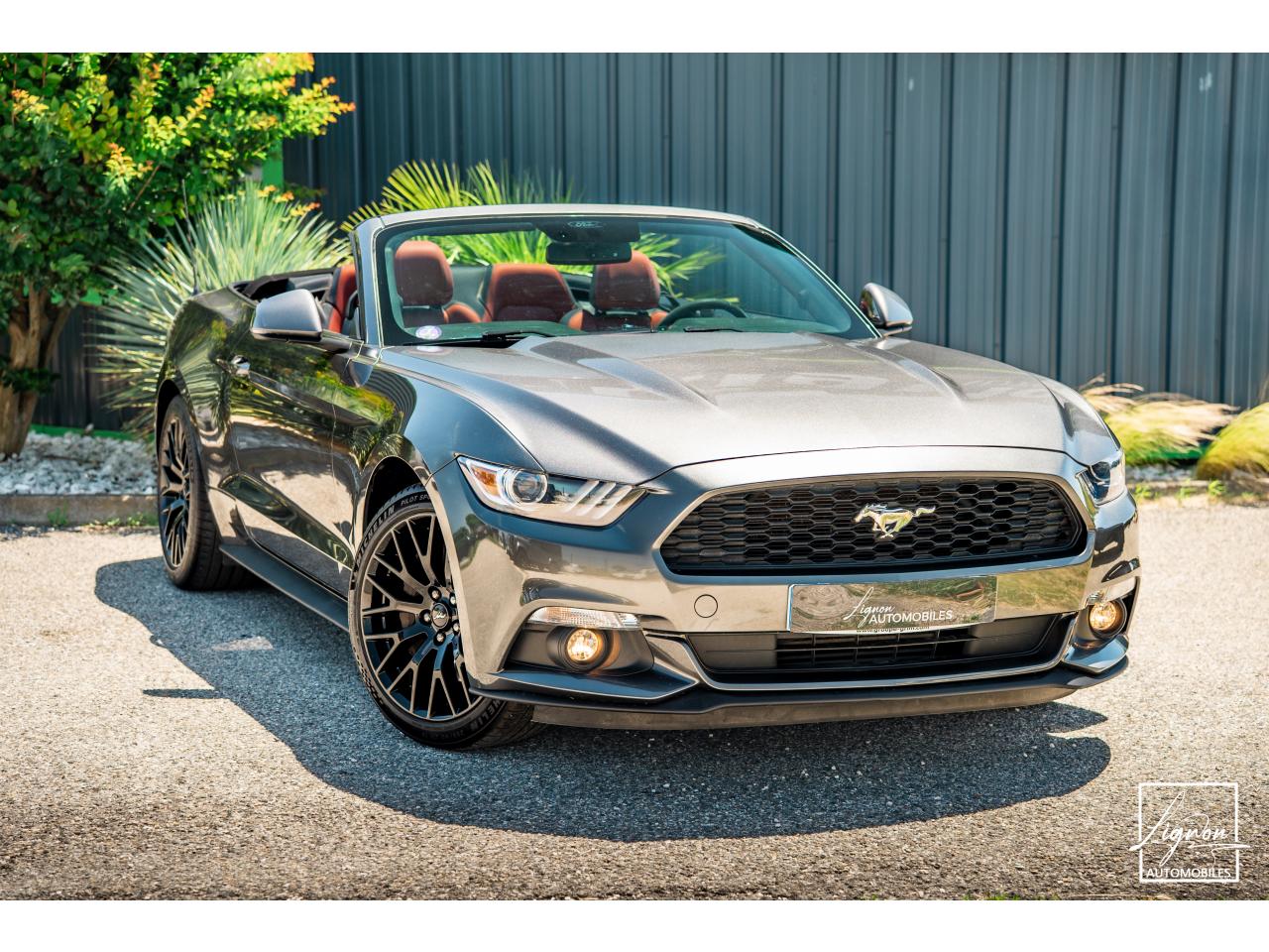 Photo FORD MUSTANG Cabriolet 2.3 EcoBoost - 317 - BVA