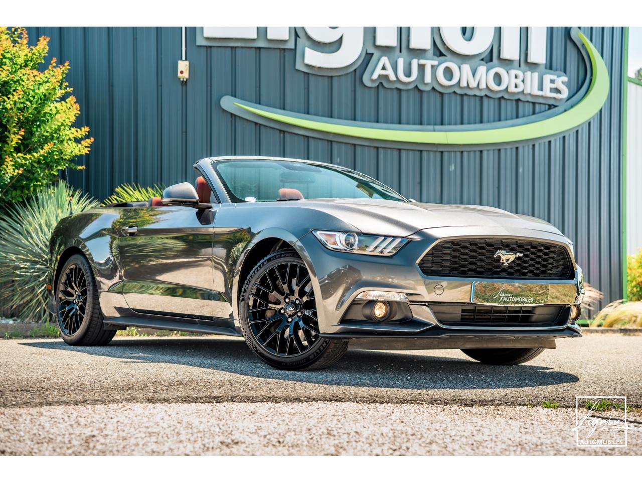 Photo FORD MUSTANG Cabriolet 2.3 EcoBoost - 317 - BVA