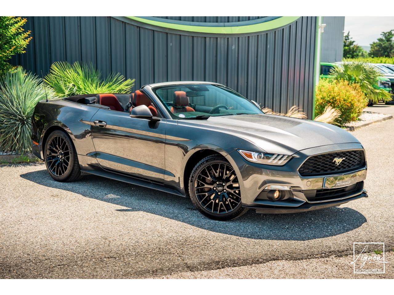 Photo FORD MUSTANG Cabriolet 2.3 EcoBoost - 317 - BVA