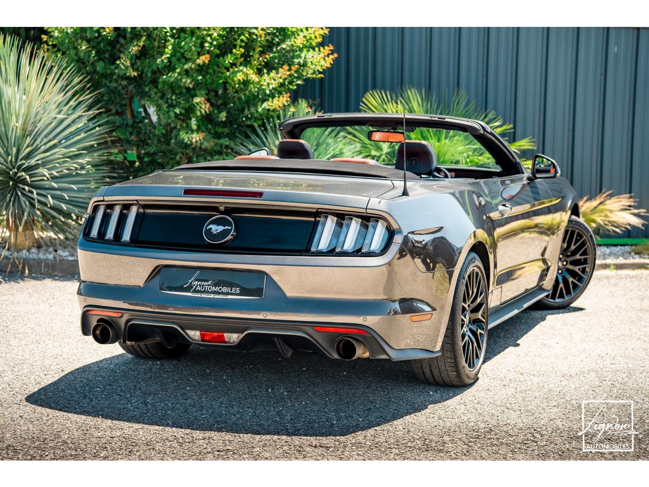 Photo FORD MUSTANG Cabriolet 2.3 EcoBoost - 317 - BVA