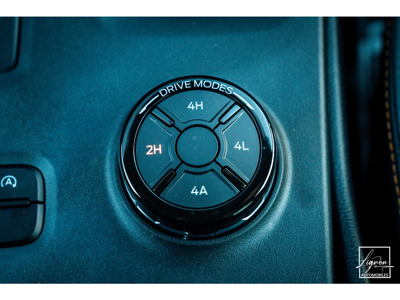 Photo FORD RANGER Wildtrak 3.0 - V6 240 CH - BVA Double Cabine
