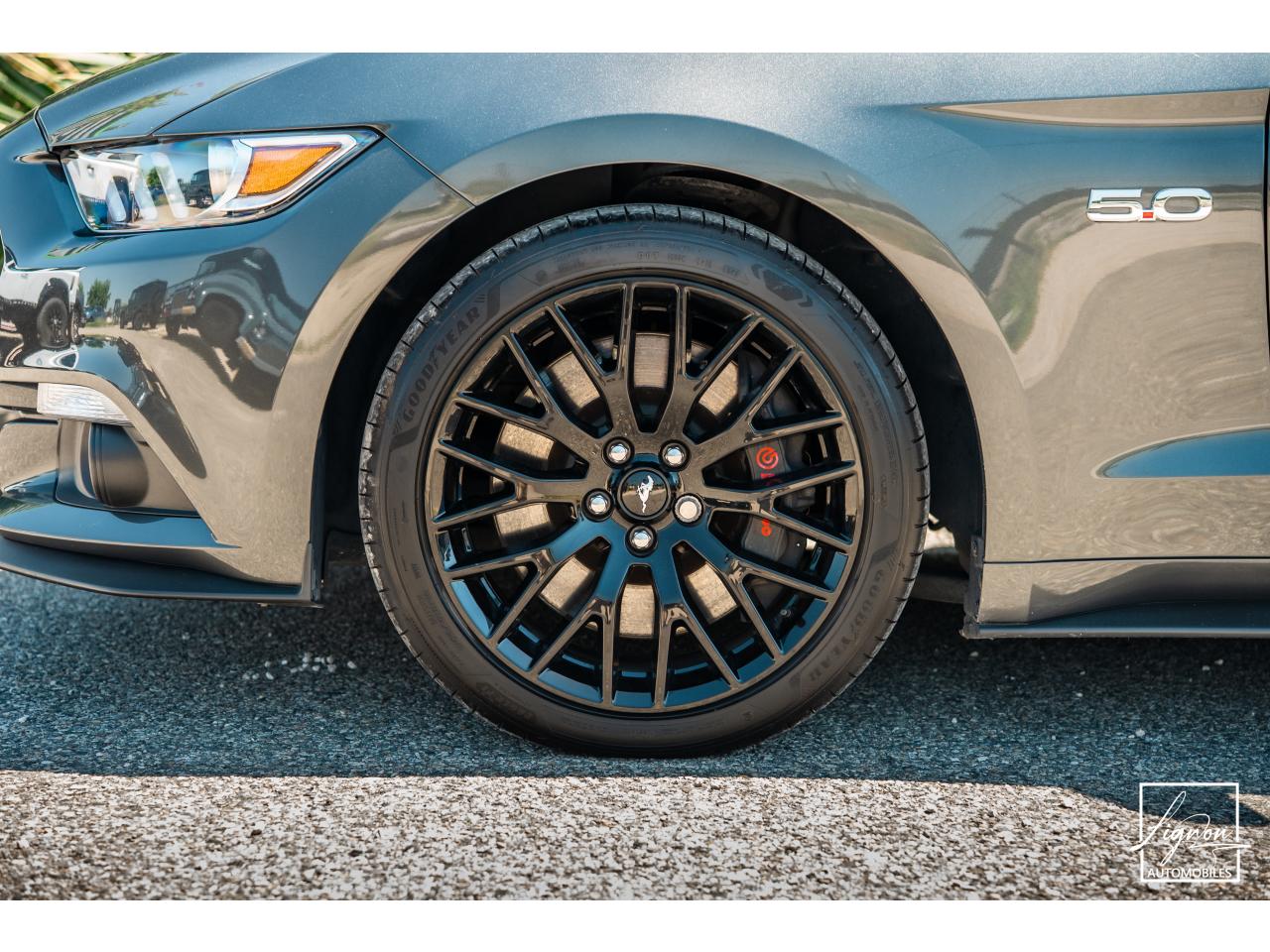 Photo FORD MUSTANG Cabriolet 5.0 V8 421 - BVA  GT