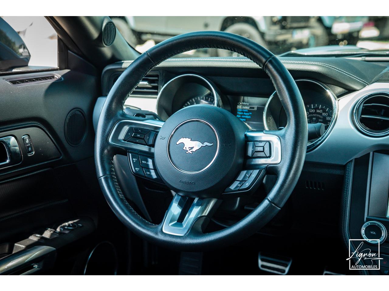 Photo FORD MUSTANG Cabriolet 5.0 V8 421 - BVA  GT