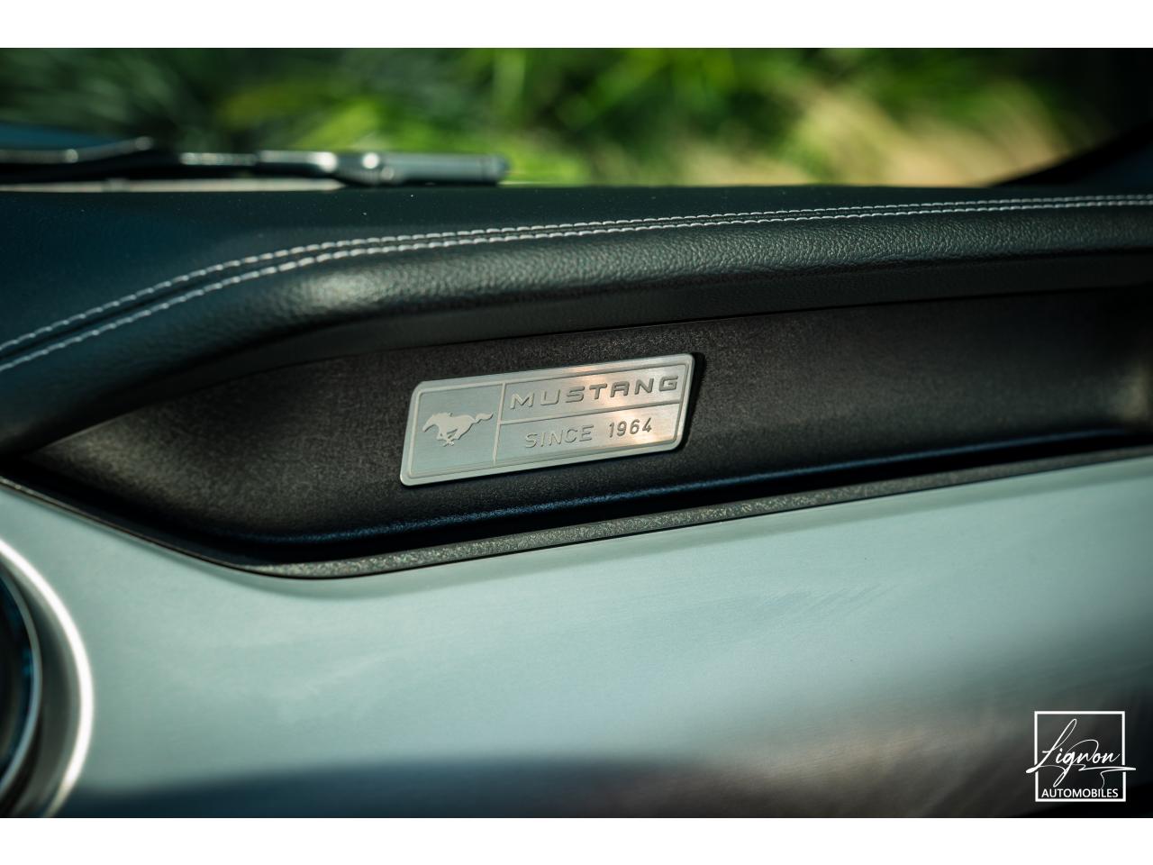 Photo FORD MUSTANG Cabriolet 5.0 V8 421 - BVA  GT