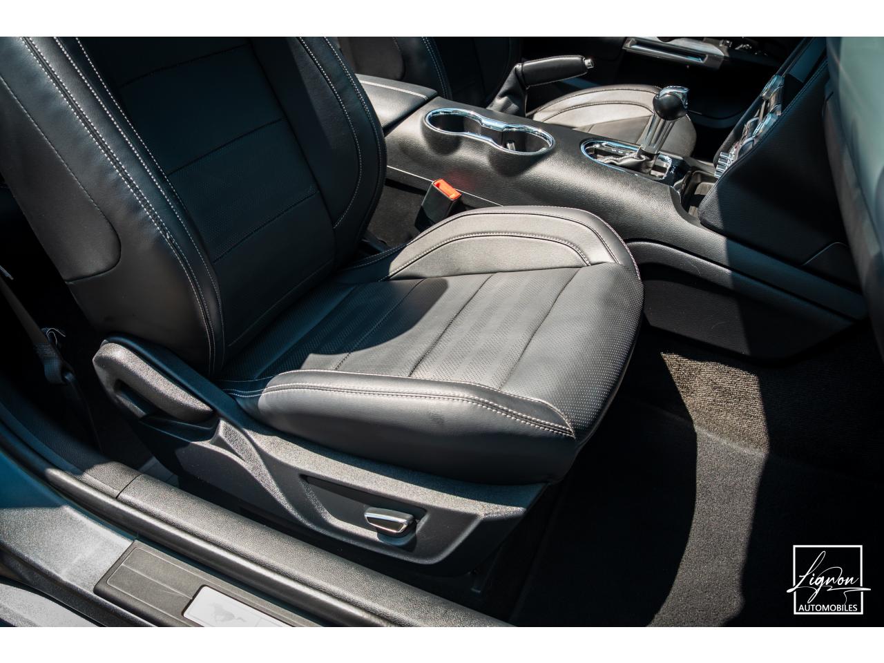 Photo FORD MUSTANG Cabriolet 5.0 V8 421 - BVA  GT