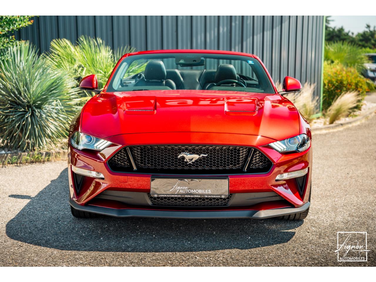 Photo FORD MUSTANG Cabriolet 5.0 V8 - 450 ch - BVA10  GT