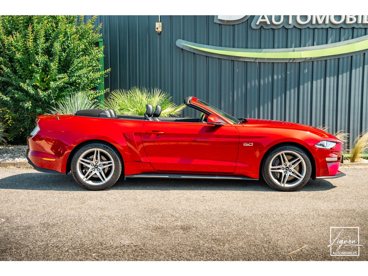 Photo FORD MUSTANG Cabriolet 5.0 V8 - 450 ch - BVA10  GT