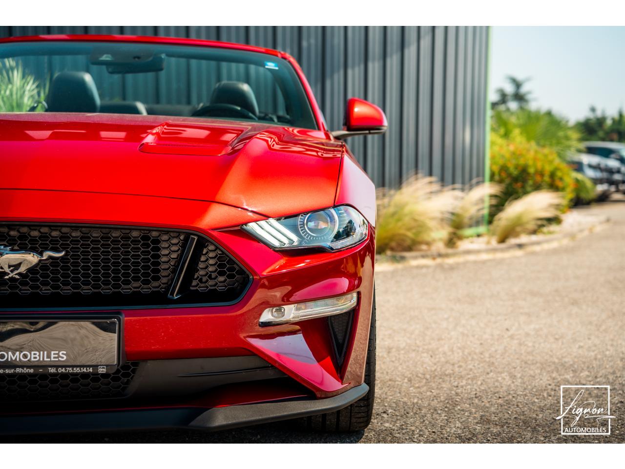 Photo FORD MUSTANG Cabriolet 5.0 V8 - 450 ch - BVA10  GT