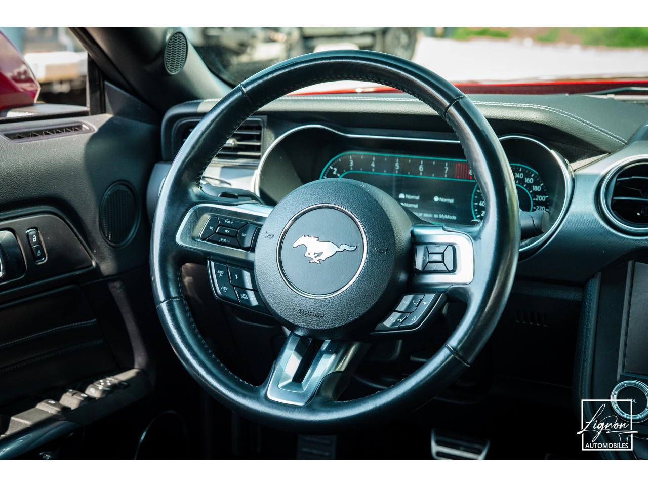 Photo FORD MUSTANG Cabriolet 5.0 V8 - 450 ch - BVA10  GT