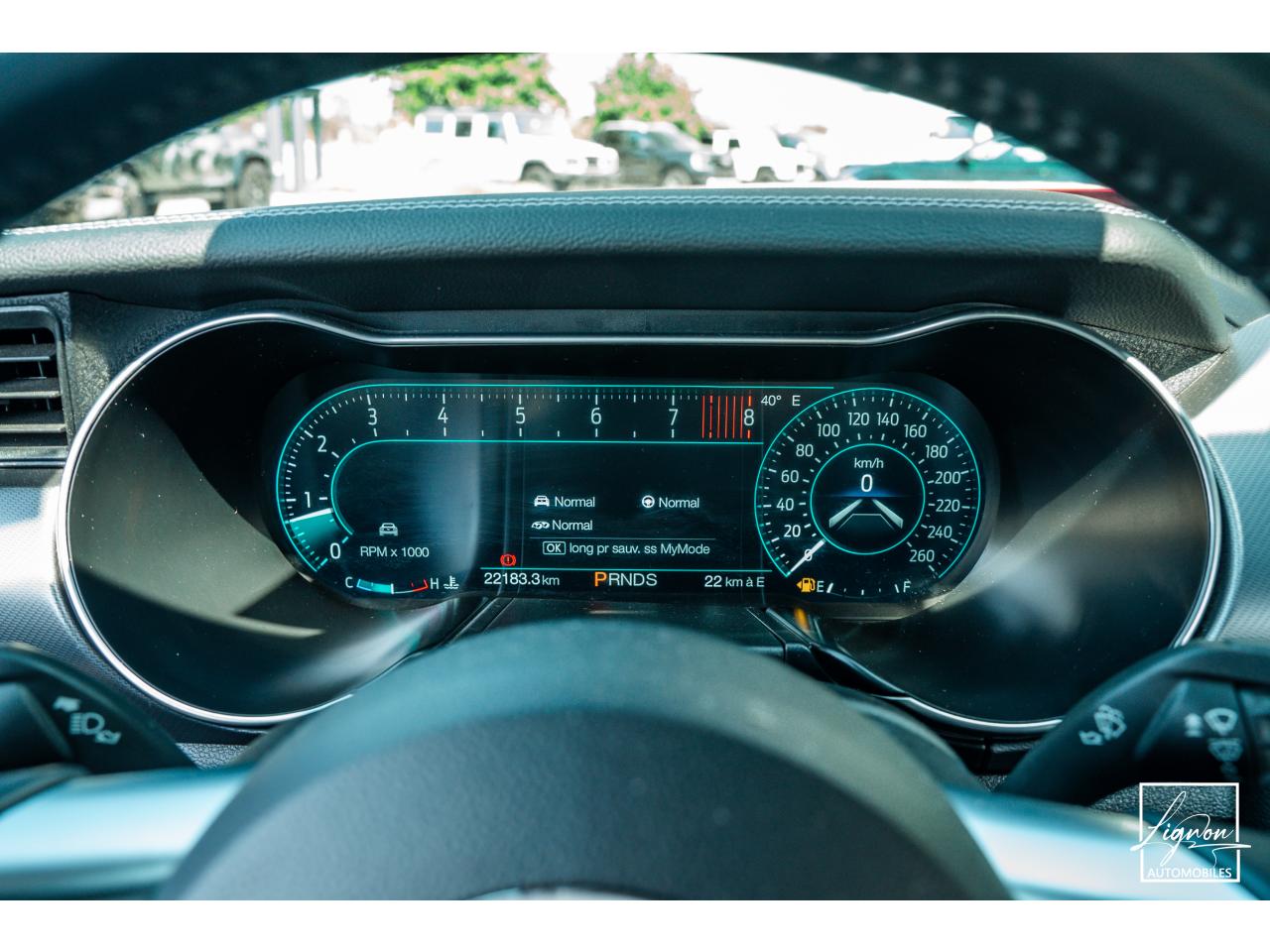 Photo FORD MUSTANG Cabriolet 5.0 V8 - 450 ch - BVA10  GT