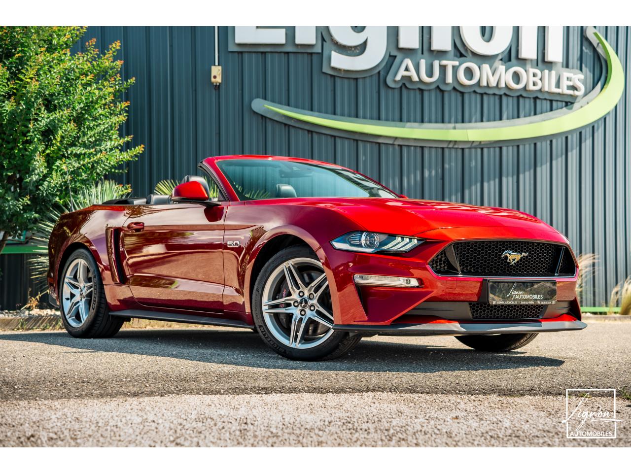 FORD MUSTANG Cabriolet 5.0 V8 - 450 ch - BVA10  GT