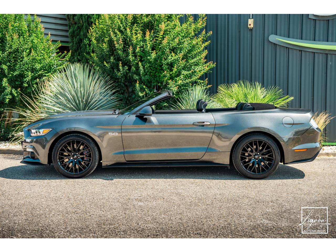 Photo FORD MUSTANG Cabriolet 5.0 V8 421 - BVA GT