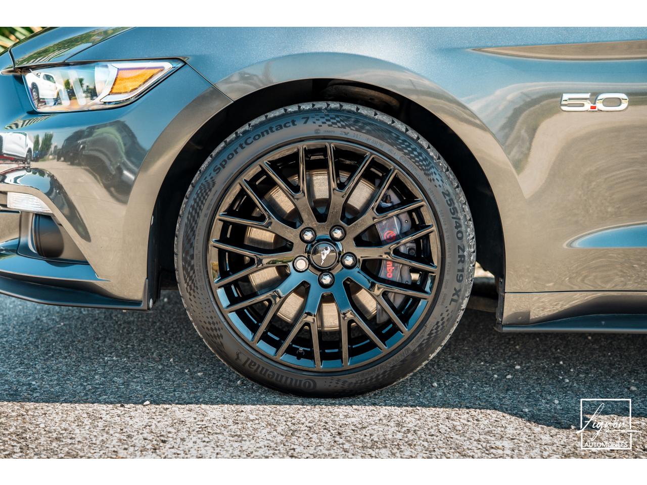Photo FORD MUSTANG Cabriolet 5.0 V8 421 - BVA GT