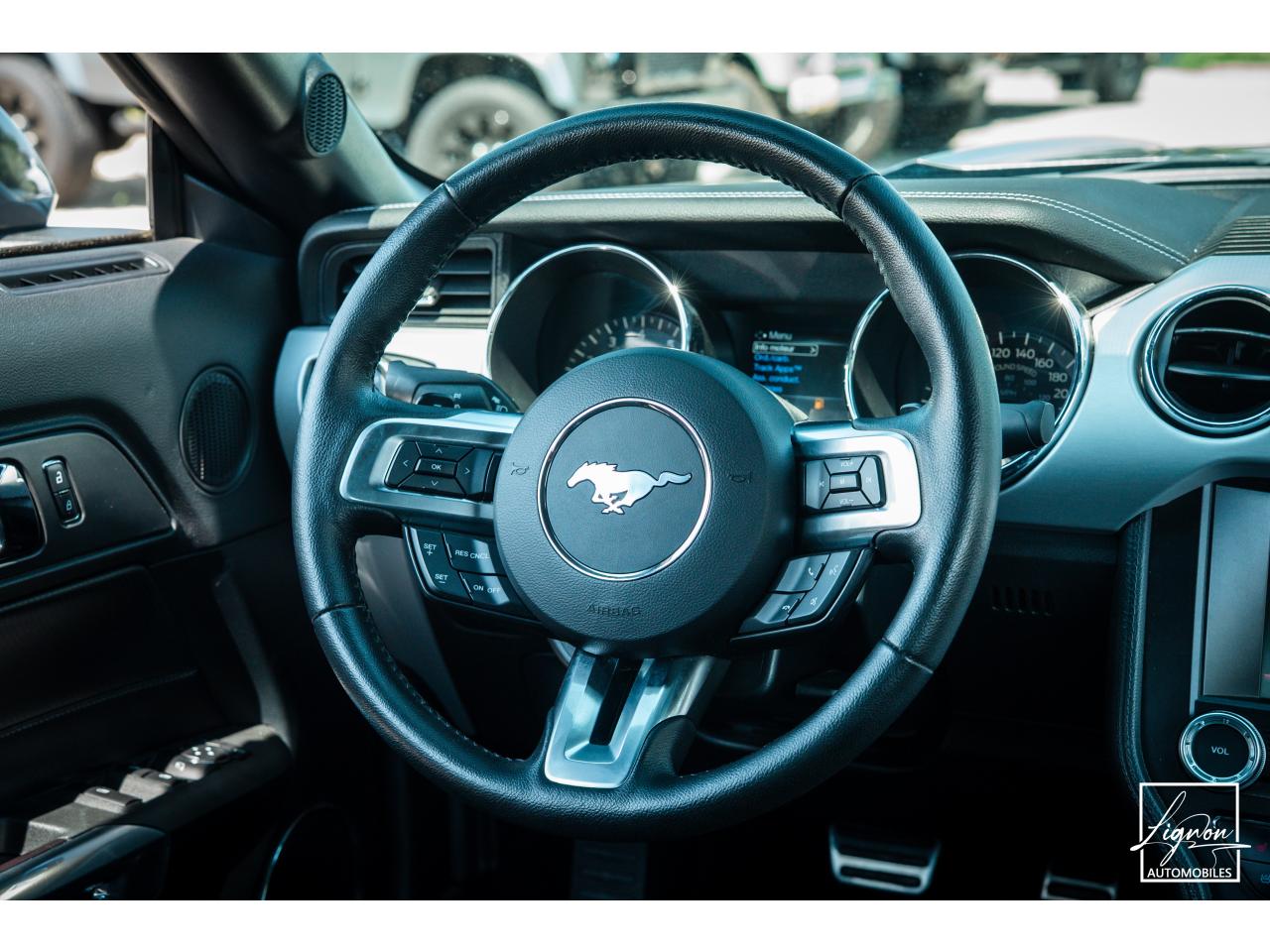 Photo FORD MUSTANG Cabriolet 5.0 V8 421 - BVA GT