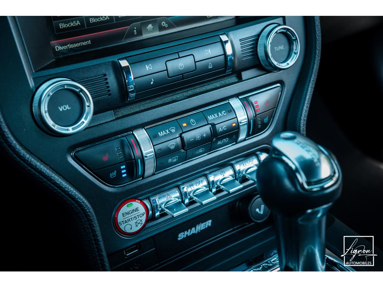Photo FORD MUSTANG Cabriolet 5.0 V8 421 - BVA GT