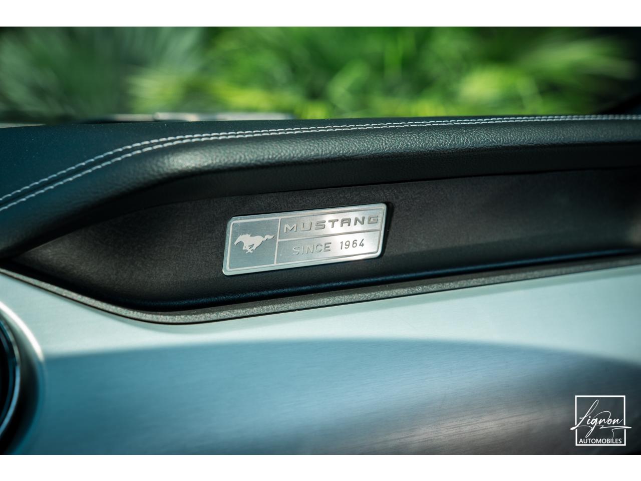 Photo FORD MUSTANG Cabriolet 5.0 V8 421 - BVA GT
