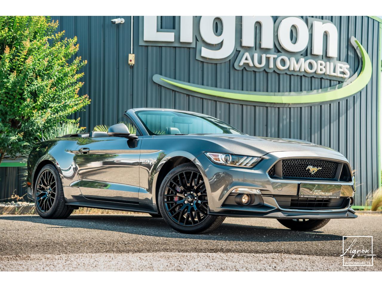 FORD MUSTANG Cabriolet 5.0 V8 421 - BVA GT