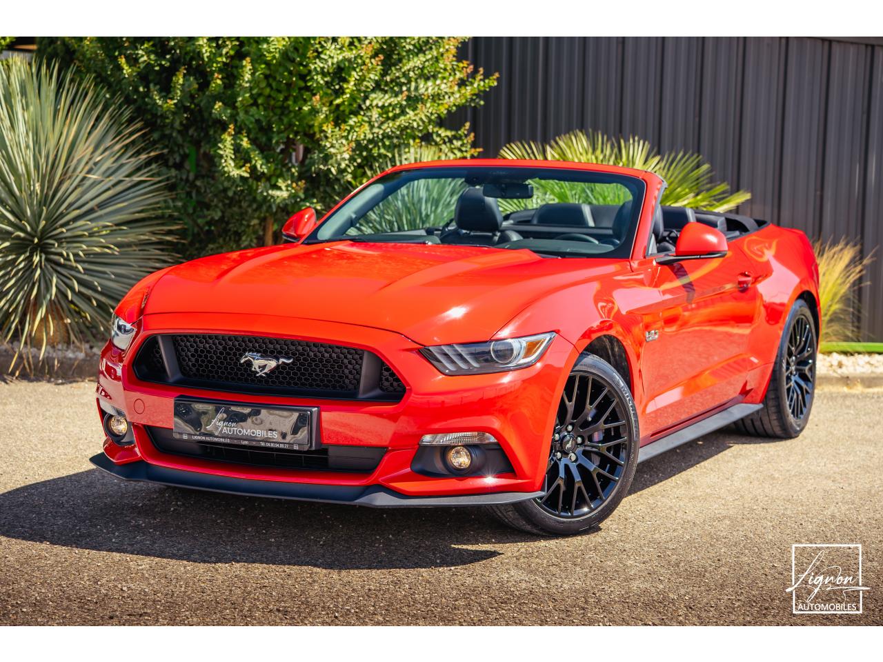 FORD MUSTANG GT Cabriolet 5.0 V8 - 421 - BVA