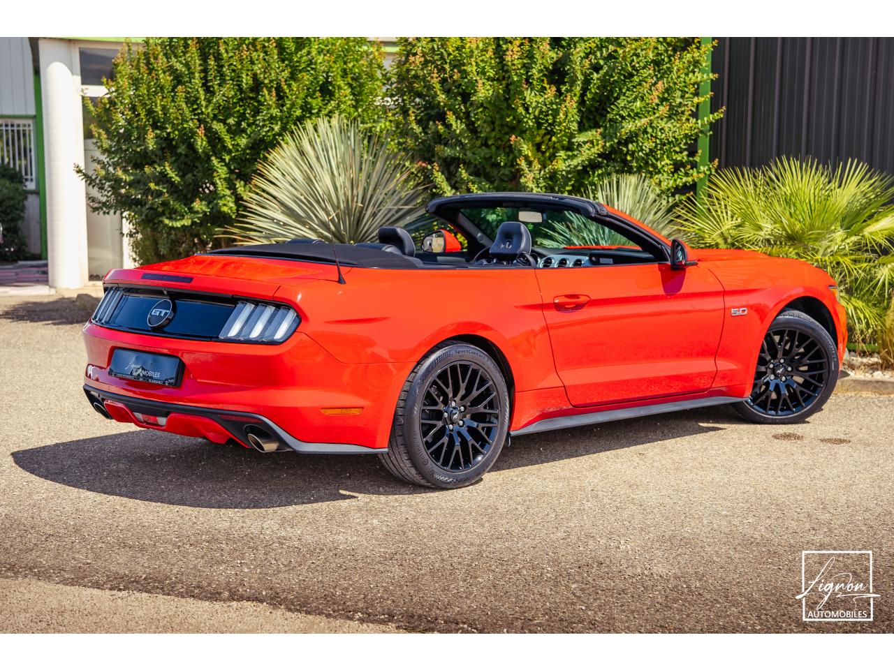 Photo FORD MUSTANG GT Cabriolet 5.0 V8 - 421 - BVA