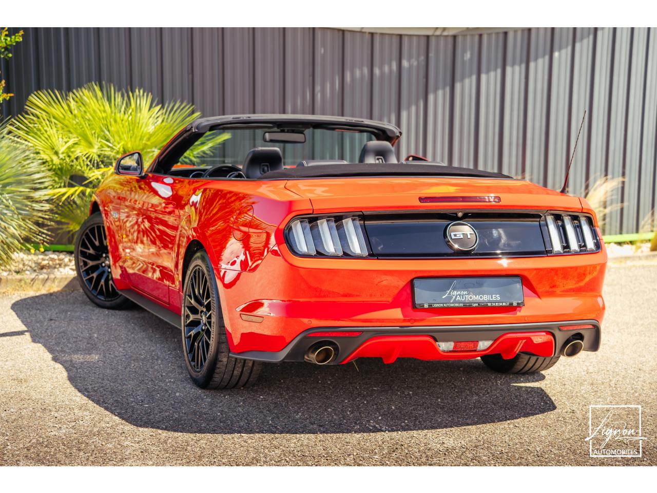 Photo FORD MUSTANG GT Cabriolet 5.0 V8 - 421 - BVA