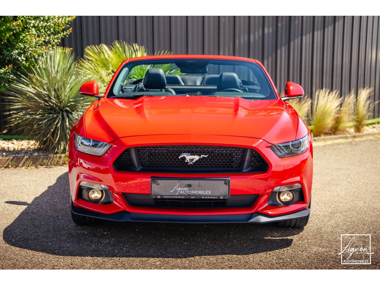 Photo FORD MUSTANG GT Cabriolet 5.0 V8 - 421 - BVA
