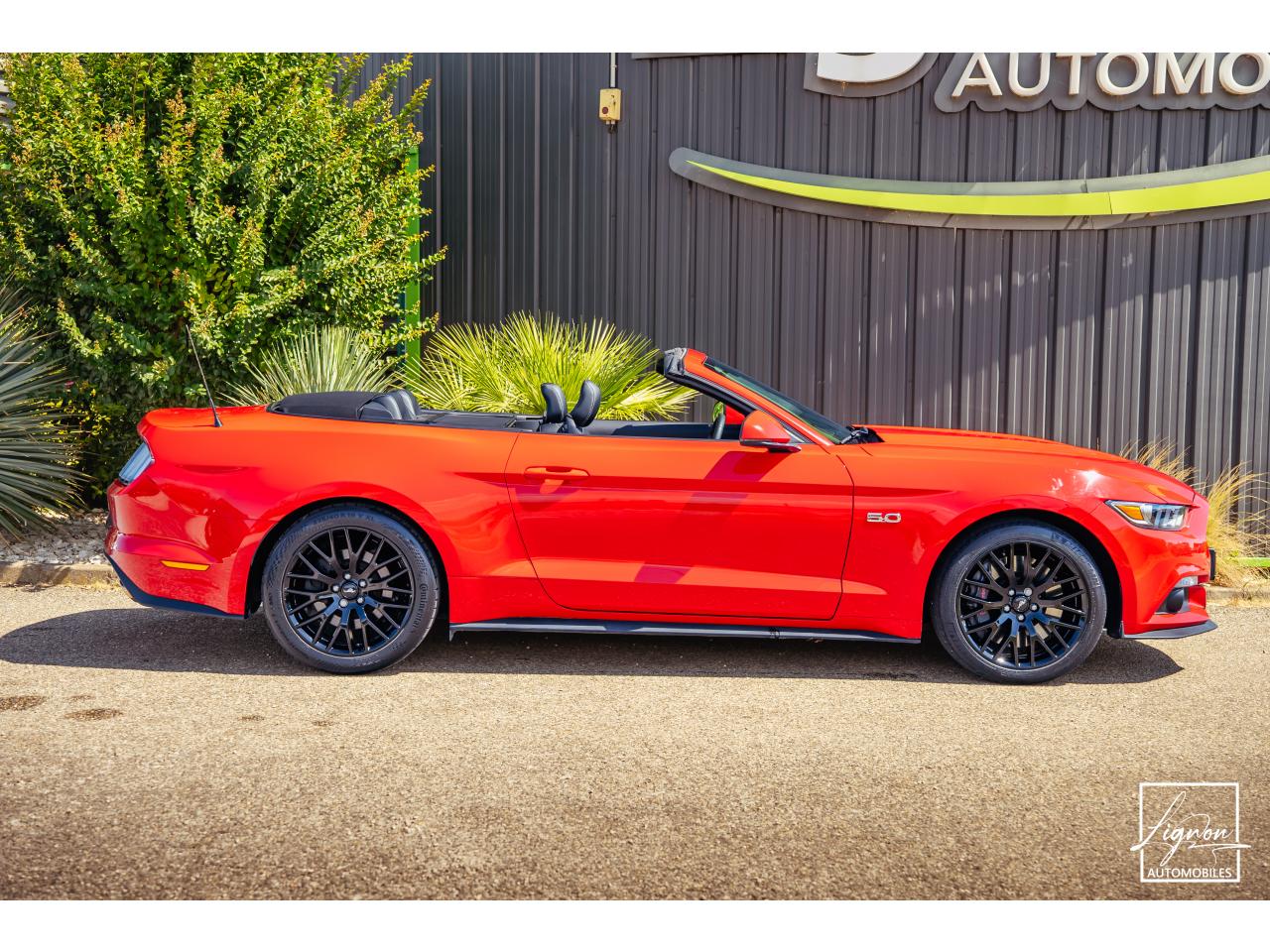 Photo FORD MUSTANG GT Cabriolet 5.0 V8 - 421 - BVA