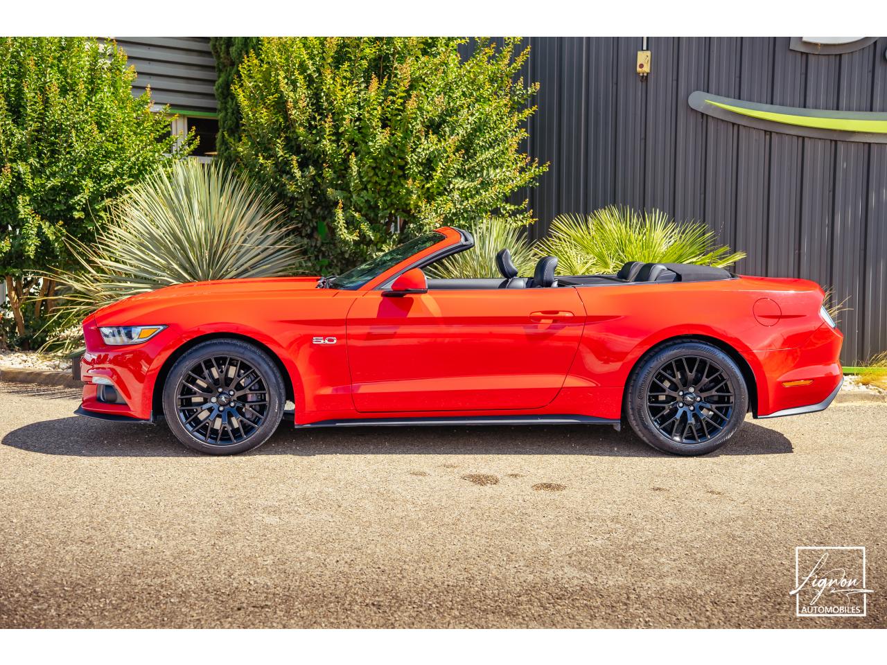 Photo FORD MUSTANG GT Cabriolet 5.0 V8 - 421 - BVA