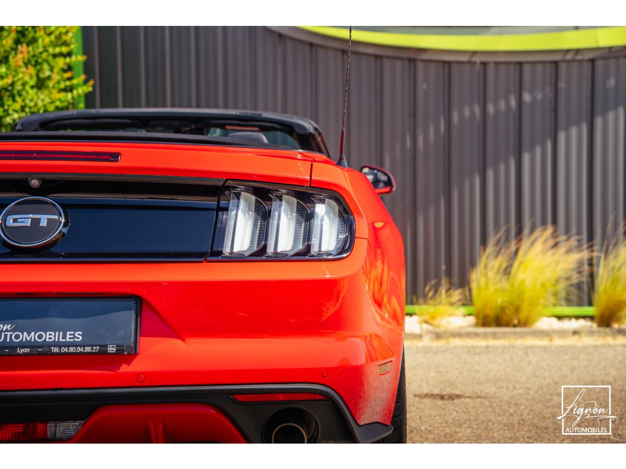 Photo FORD MUSTANG GT Cabriolet 5.0 V8 - 421 - BVA