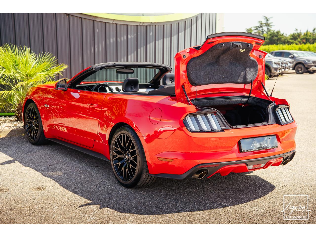 Photo FORD MUSTANG GT Cabriolet 5.0 V8 - 421 - BVA