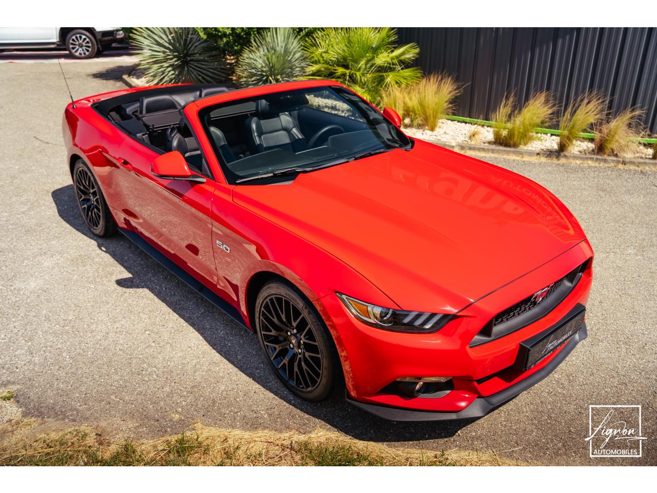 Photo FORD MUSTANG GT Cabriolet 5.0 V8 - 421 - BVA