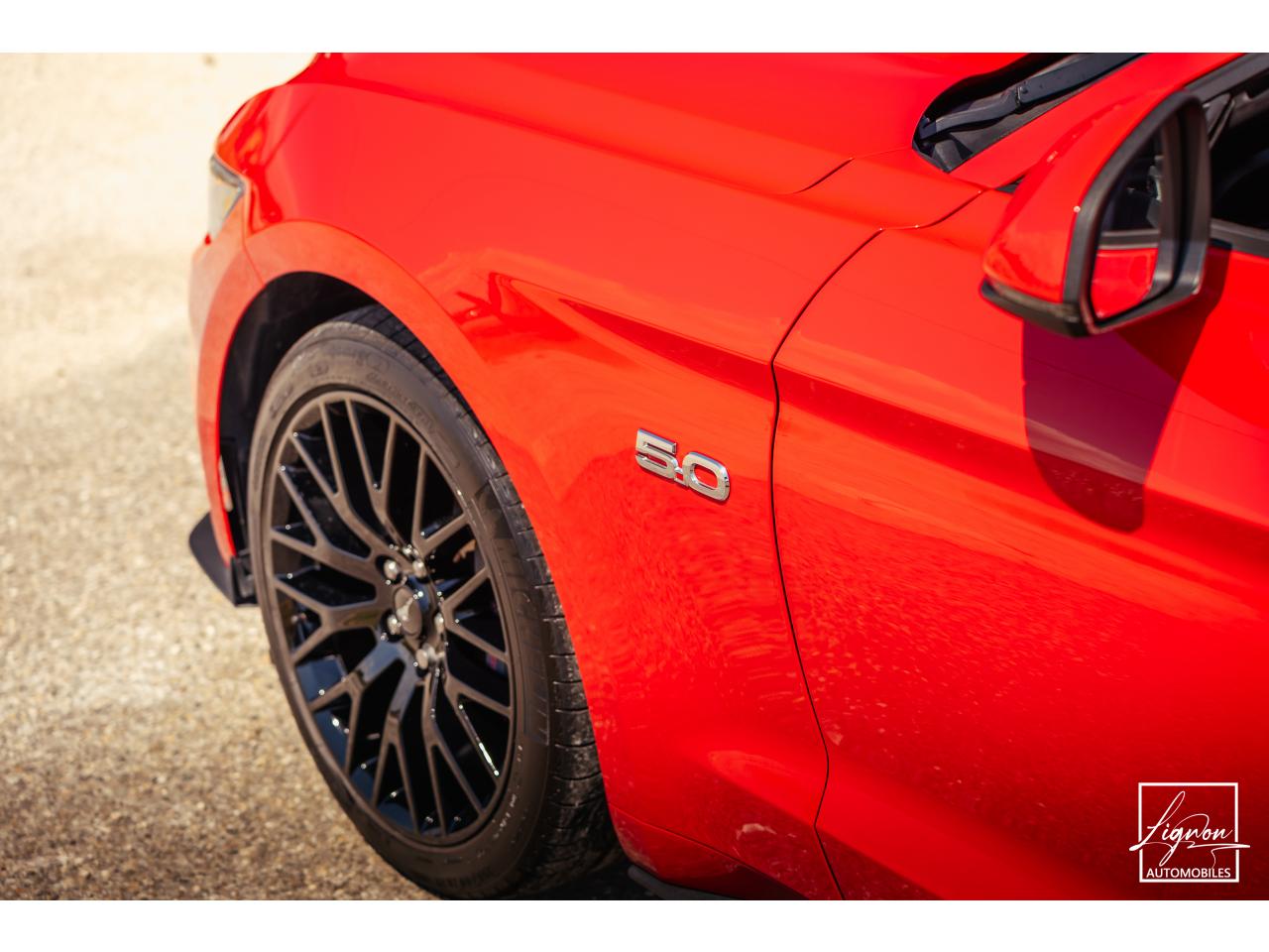 Photo FORD MUSTANG GT Cabriolet 5.0 V8 - 421 - BVA