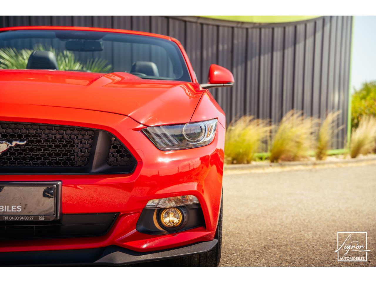 Photo FORD MUSTANG GT Cabriolet 5.0 V8 - 421 - BVA