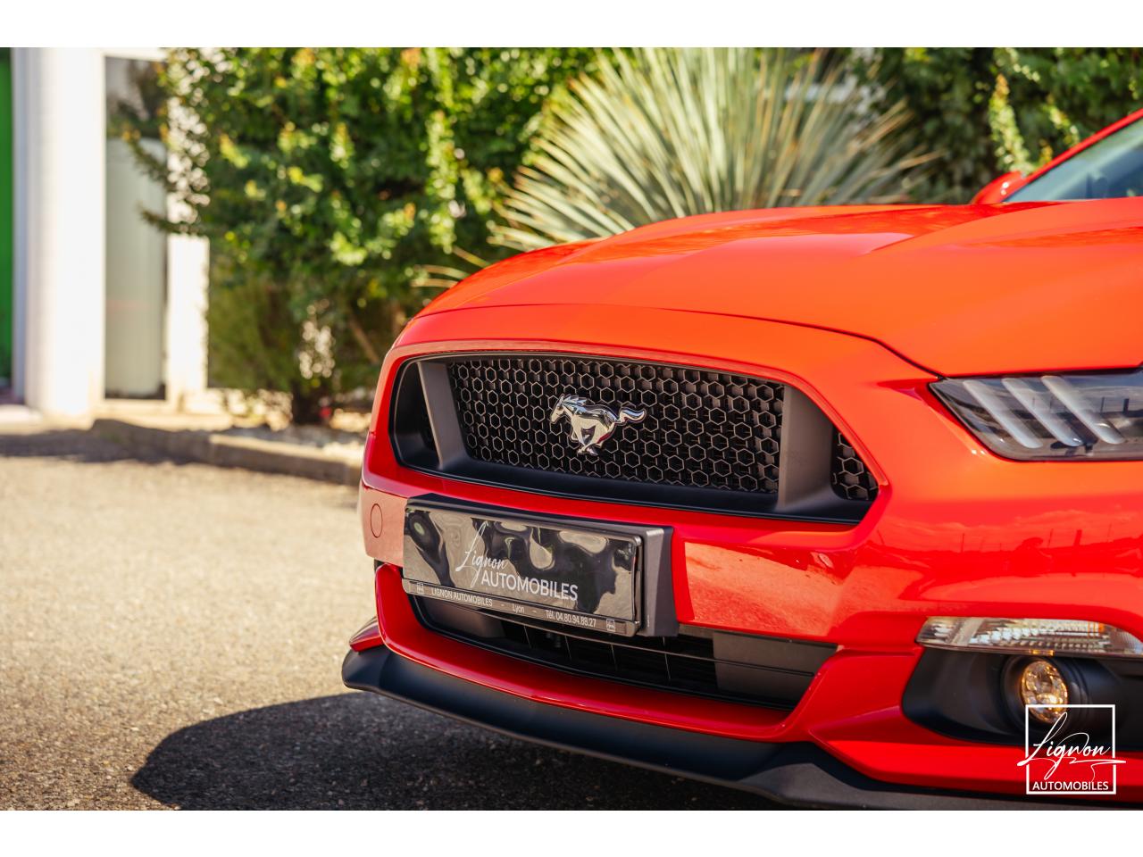 Photo FORD MUSTANG GT Cabriolet 5.0 V8 - 421 - BVA