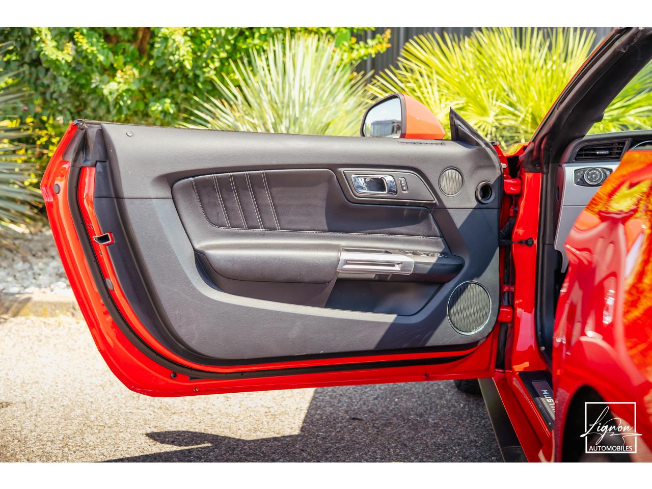 Photo FORD MUSTANG GT Cabriolet 5.0 V8 - 421 - BVA