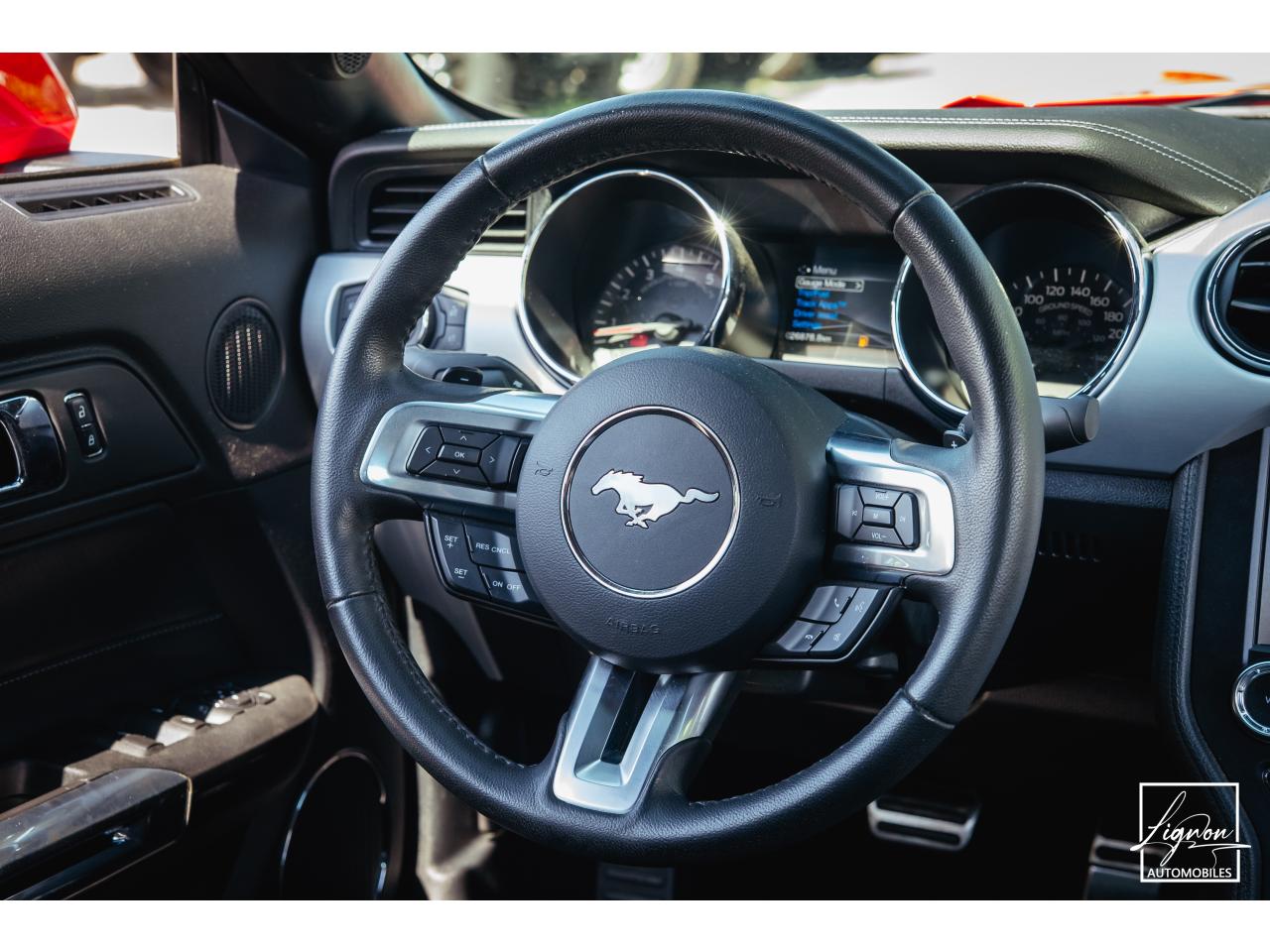 Photo FORD MUSTANG GT Cabriolet 5.0 V8 - 421 - BVA
