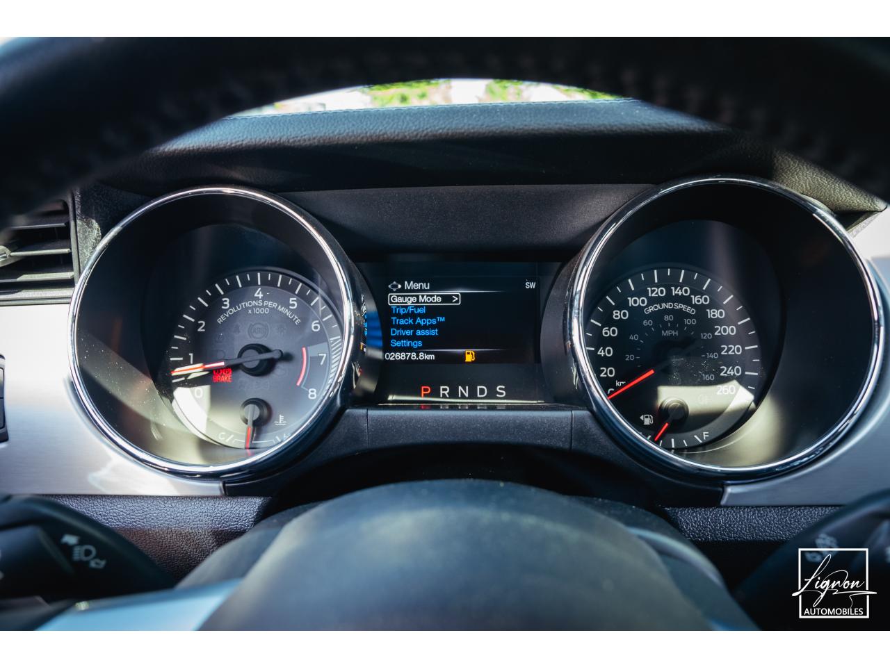 Photo FORD MUSTANG GT Cabriolet 5.0 V8 - 421 - BVA