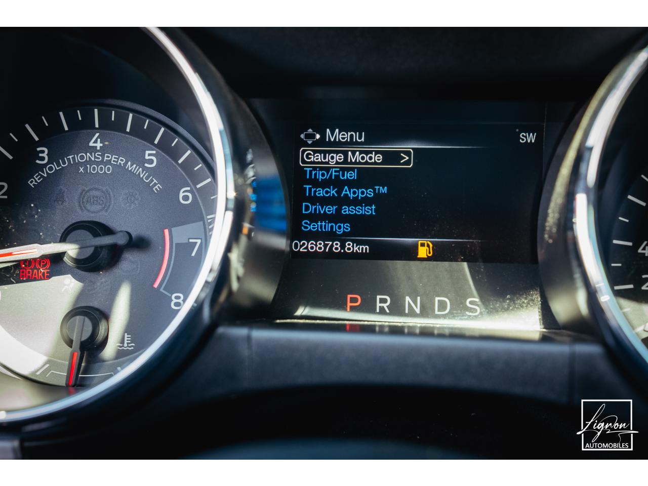Photo FORD MUSTANG GT Cabriolet 5.0 V8 - 421 - BVA