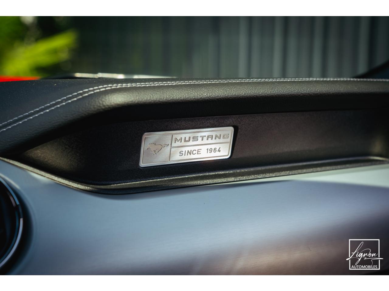 Photo FORD MUSTANG GT Cabriolet 5.0 V8 - 421 - BVA