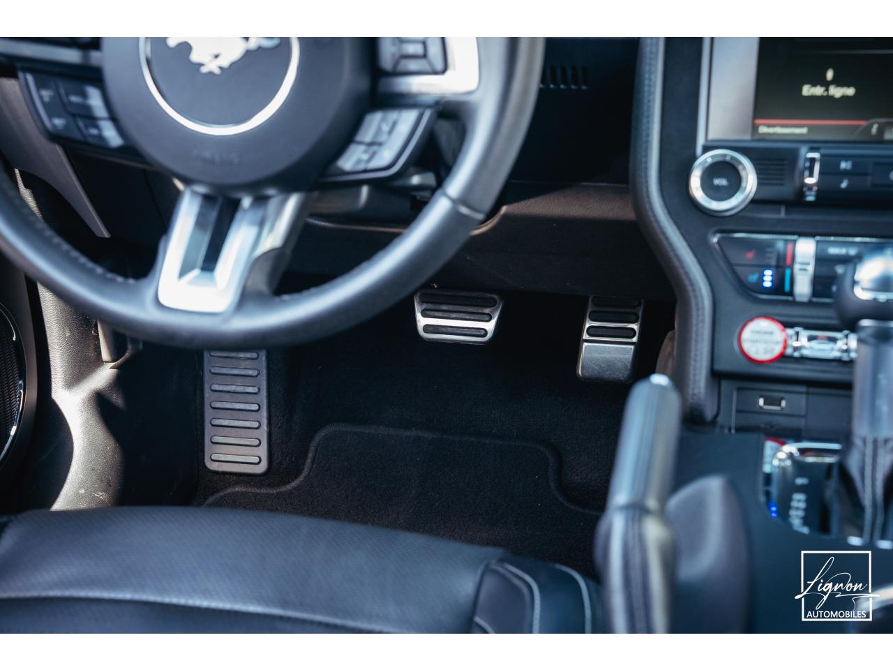 Photo FORD MUSTANG GT Cabriolet 5.0 V8 - 421 - BVA