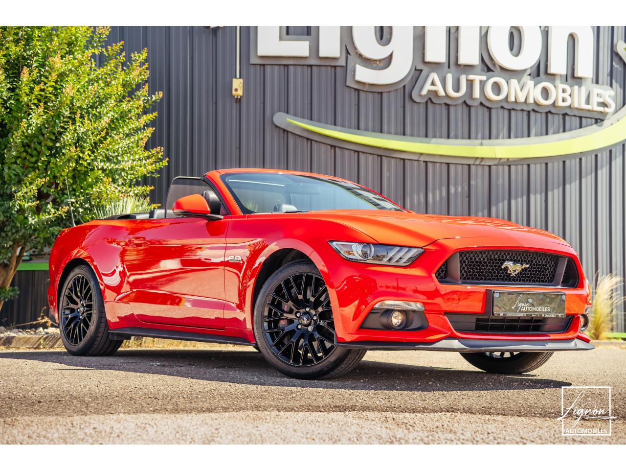 FORD MUSTANG GT Cabriolet 5.0 V8 - 421 - BVA
