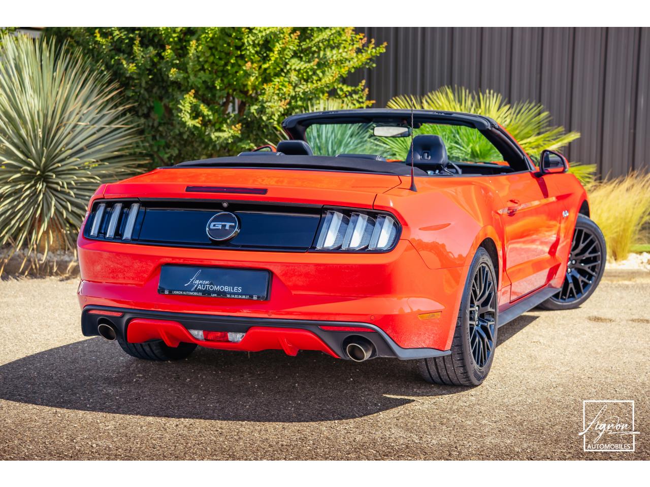 Photo FORD MUSTANG GT Cabriolet 5.0 V8 - 421 - BVA