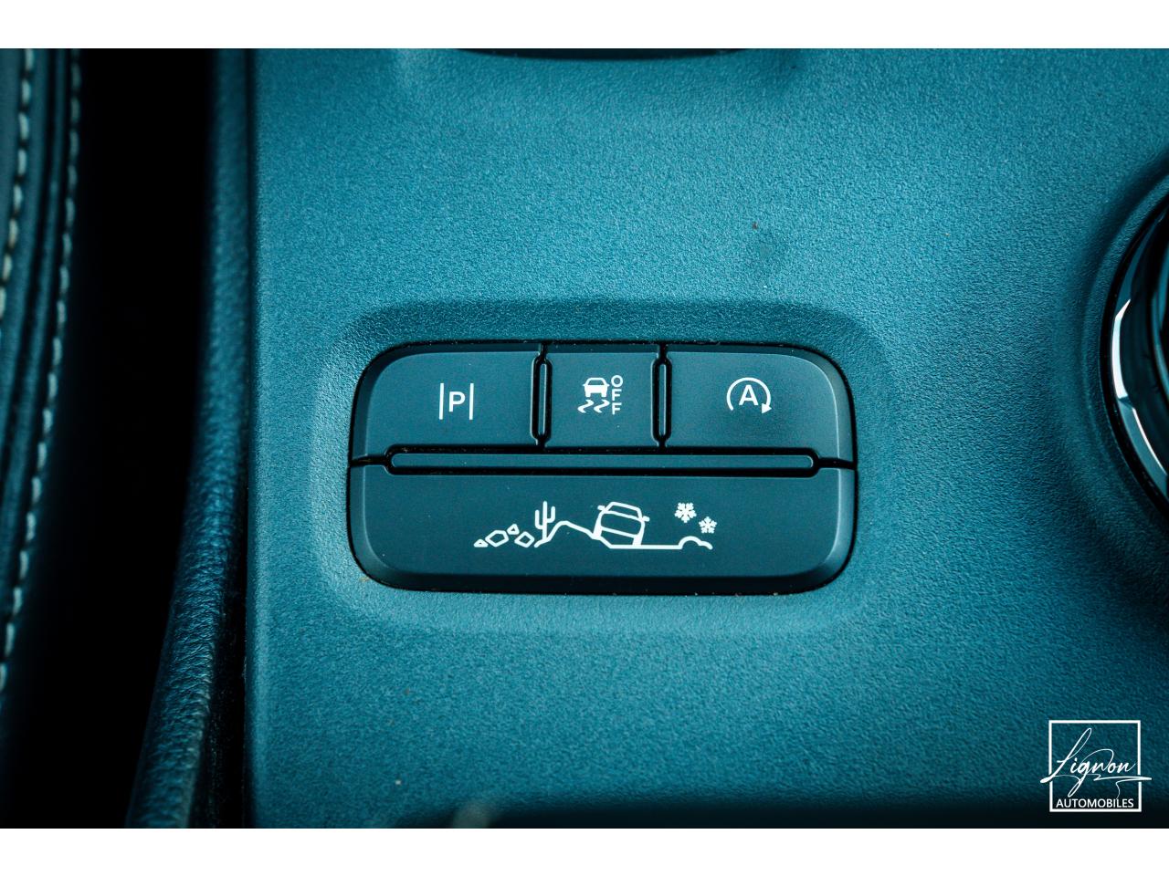 Photo FORD RANGER Platinum 3.0 V6 EcoBlue - 240 - BVA - AWD  2024 DOUBLE CABINE TVA Apparente
